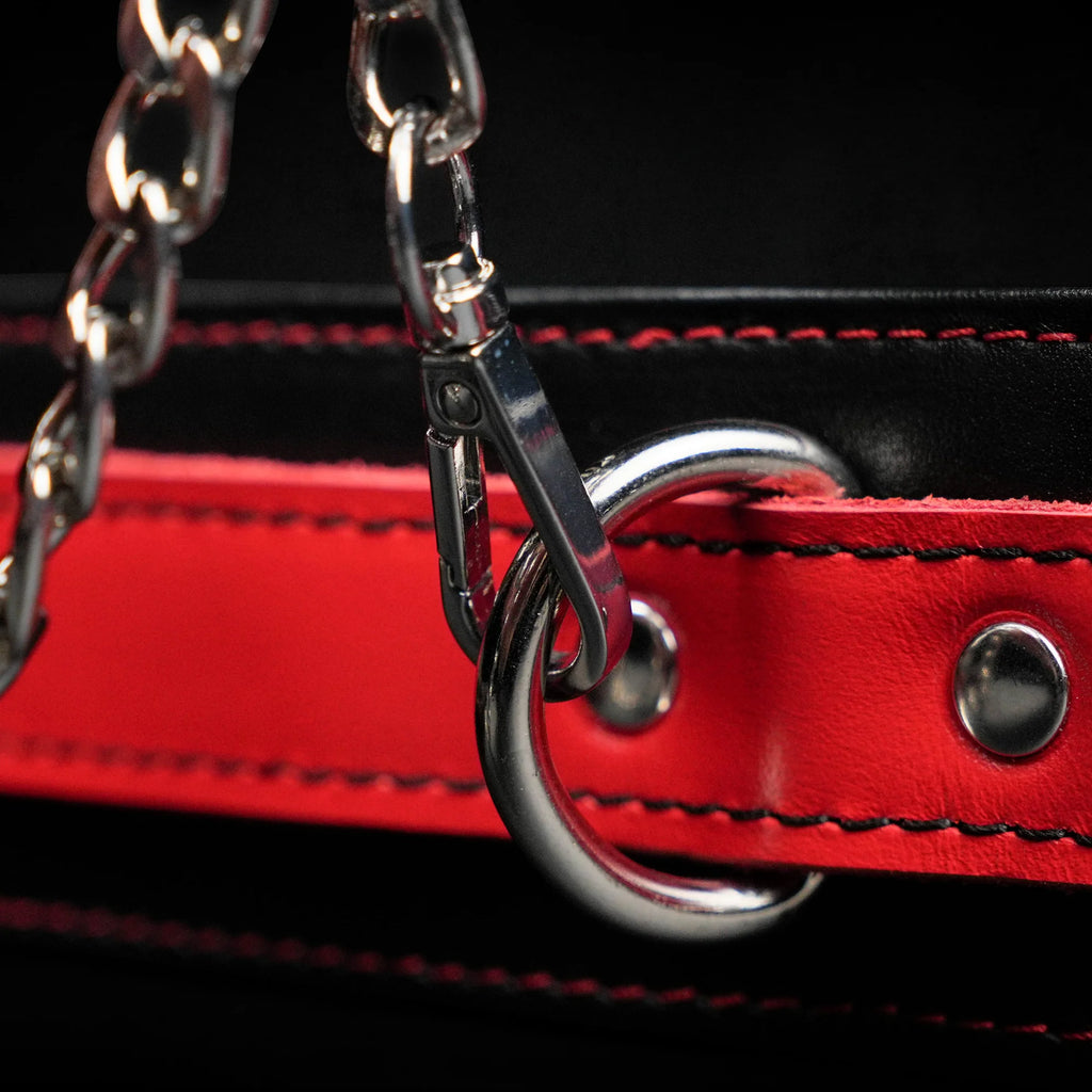 ™ Obsidian Claim Collar